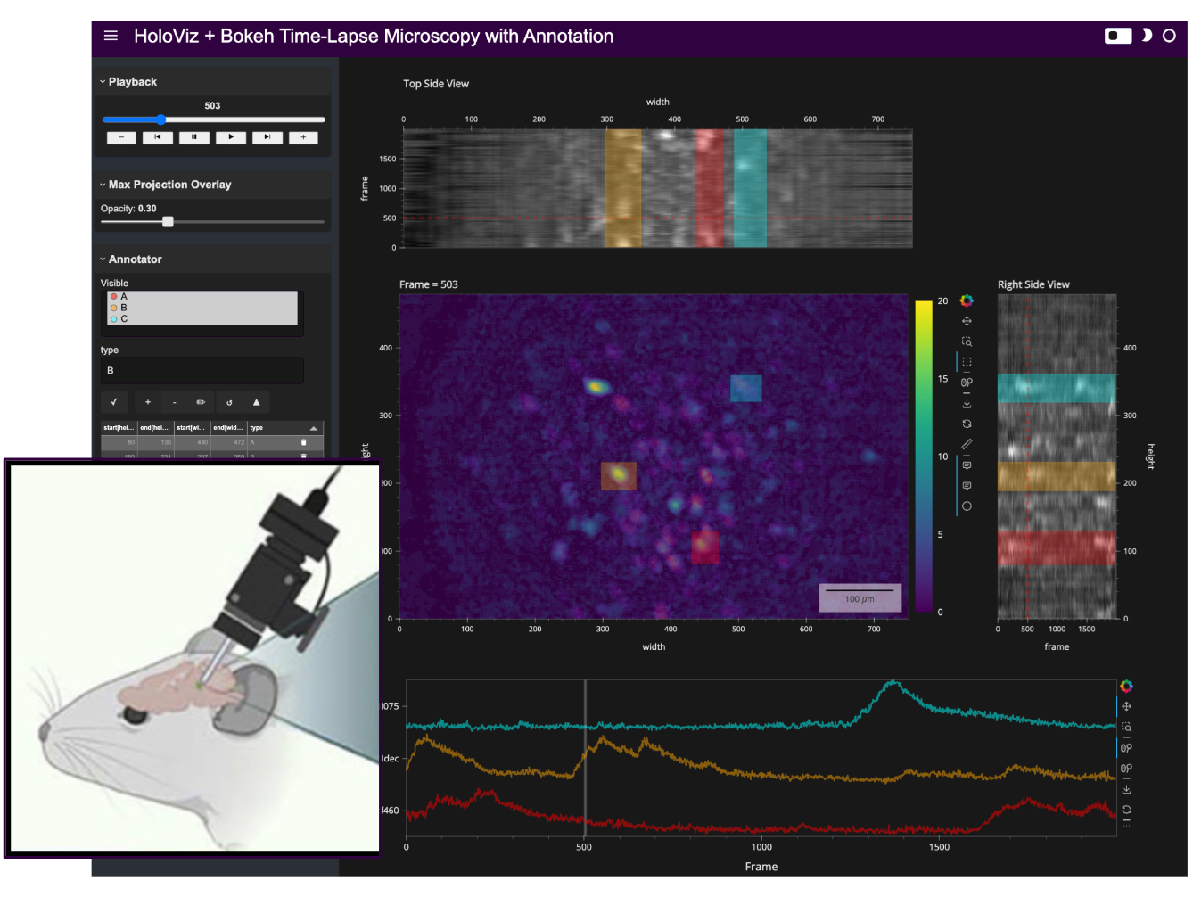 Time-lapse Microscopy